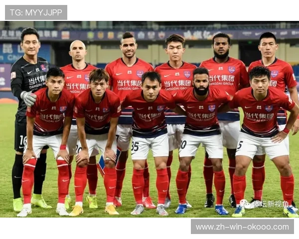 西安排球队在锦标赛中的团队协作表现分析与点评